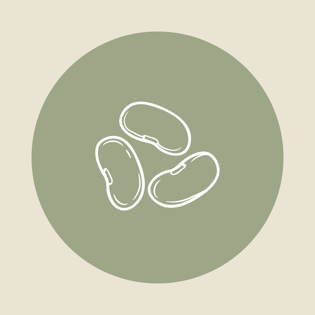 Legumes & Pulses
