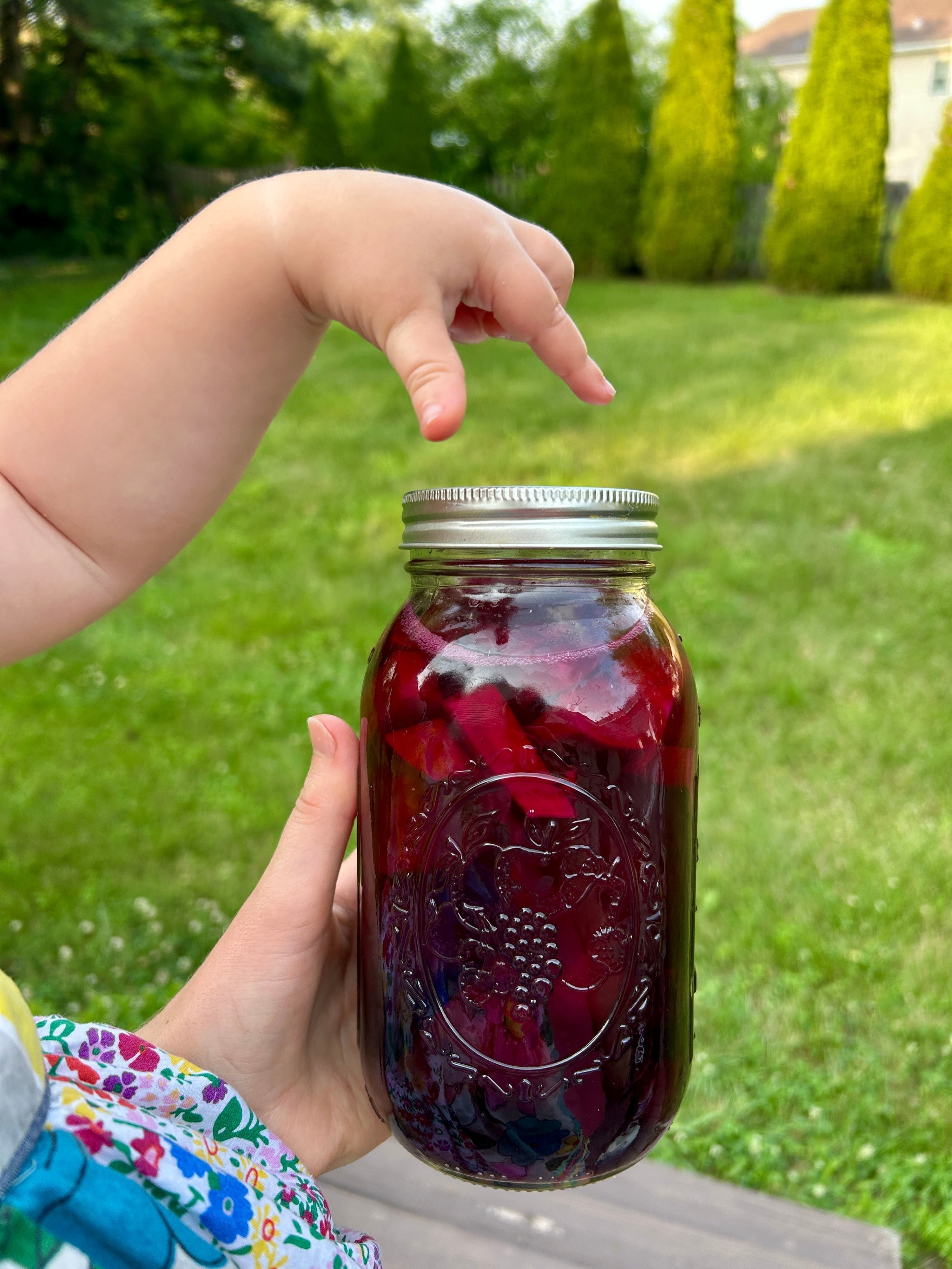How to Make Beet Kvass | Easy Fermented Beet Recipe