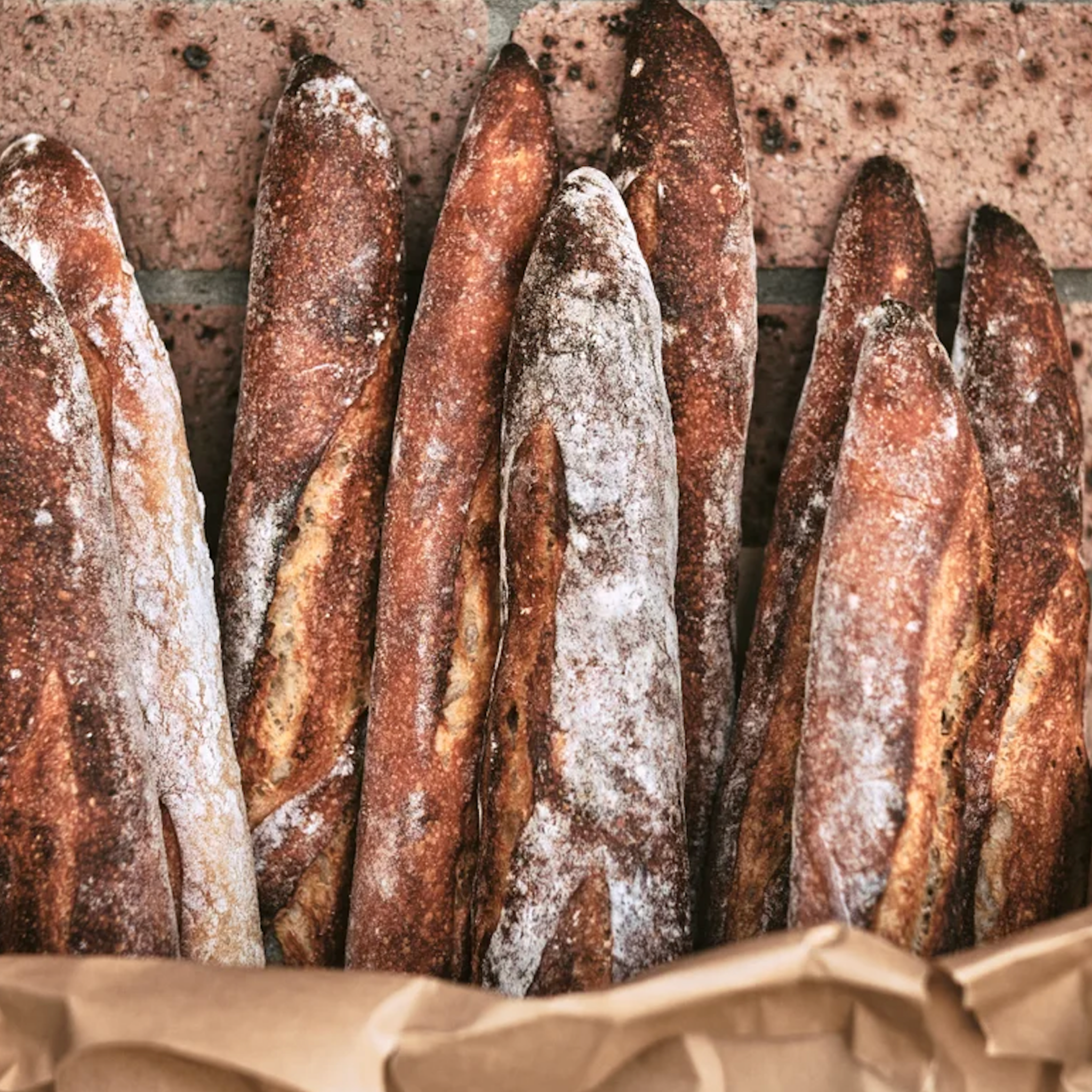 Bread