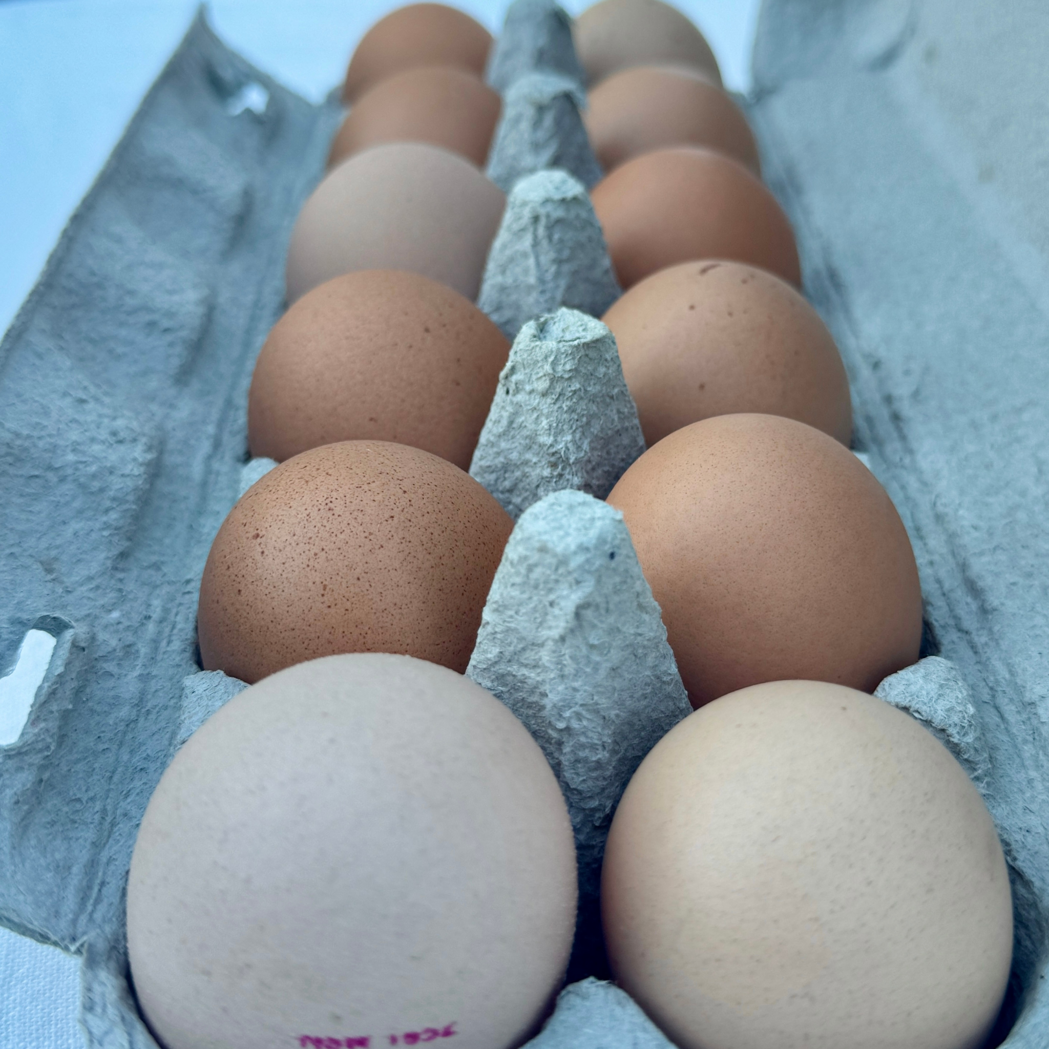 Eggs