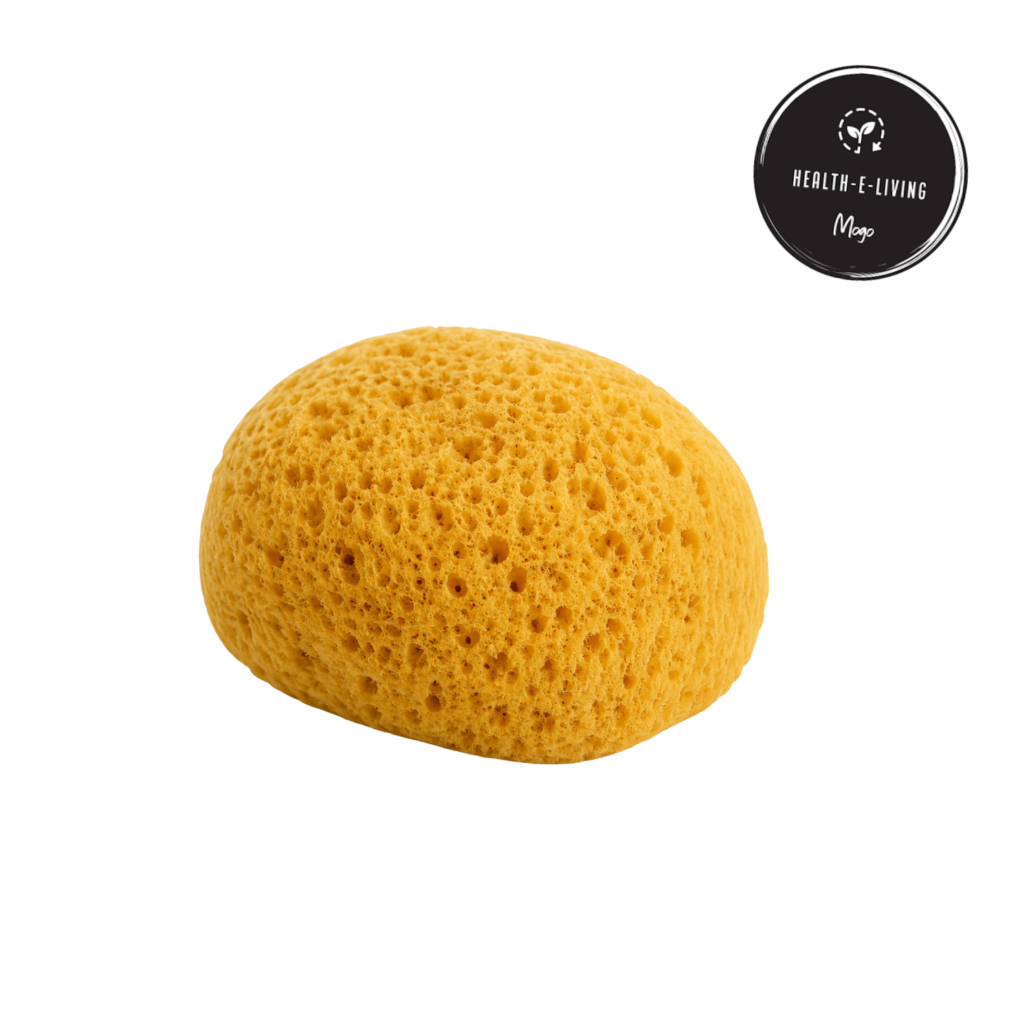 Natural Sea Sponge